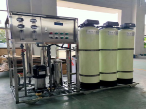 1T不銹鋼管道反滲透設備